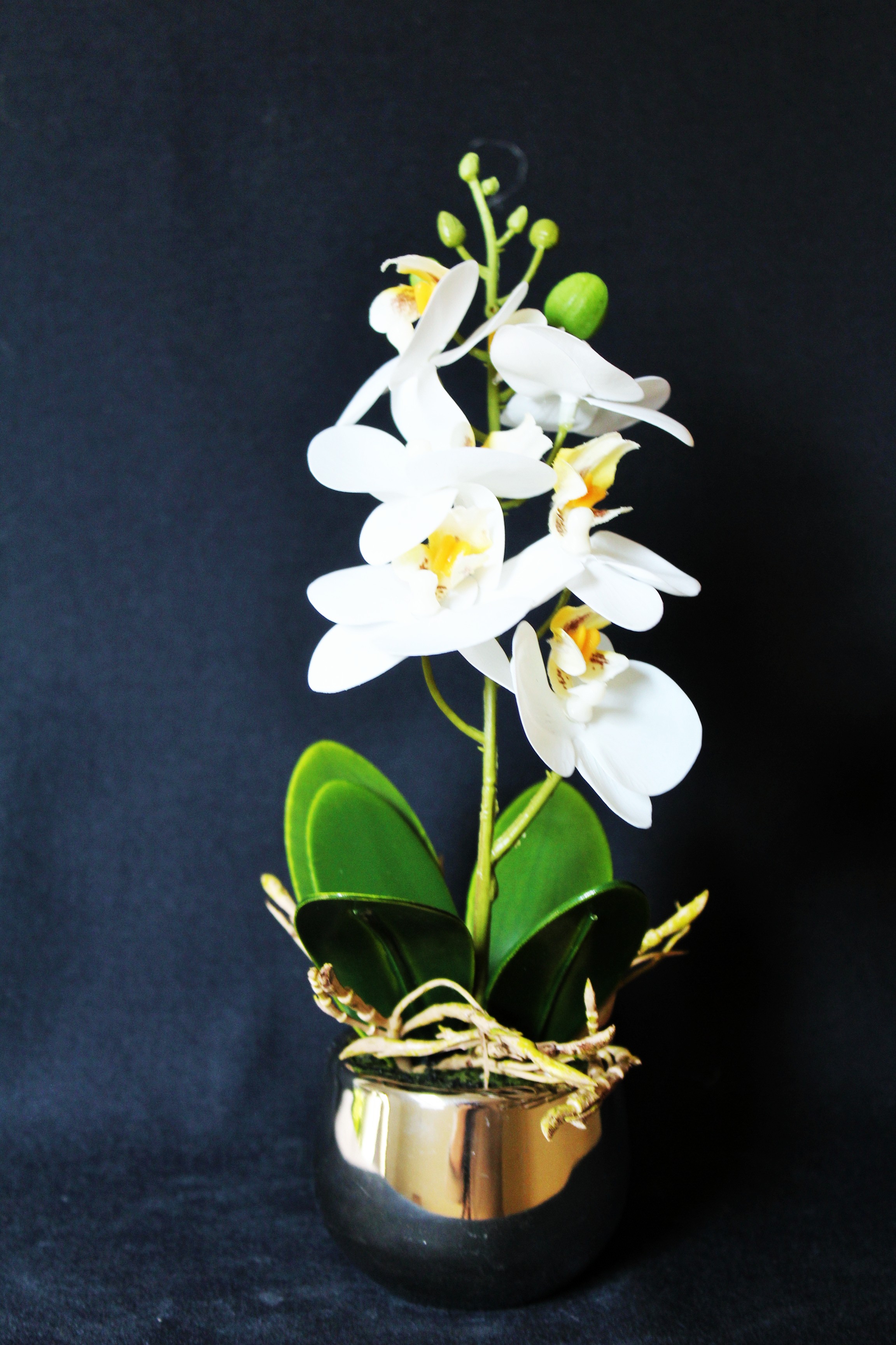 Orchidee Phalaenopsis "Lambros" Höhe 25 cm, weiß-silber, künstlich