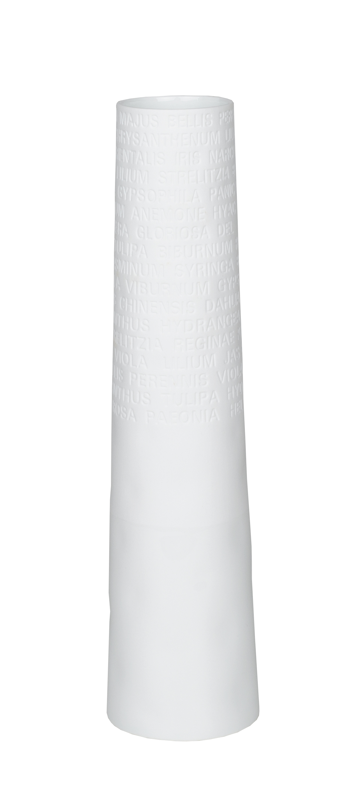 15428 (XXL)