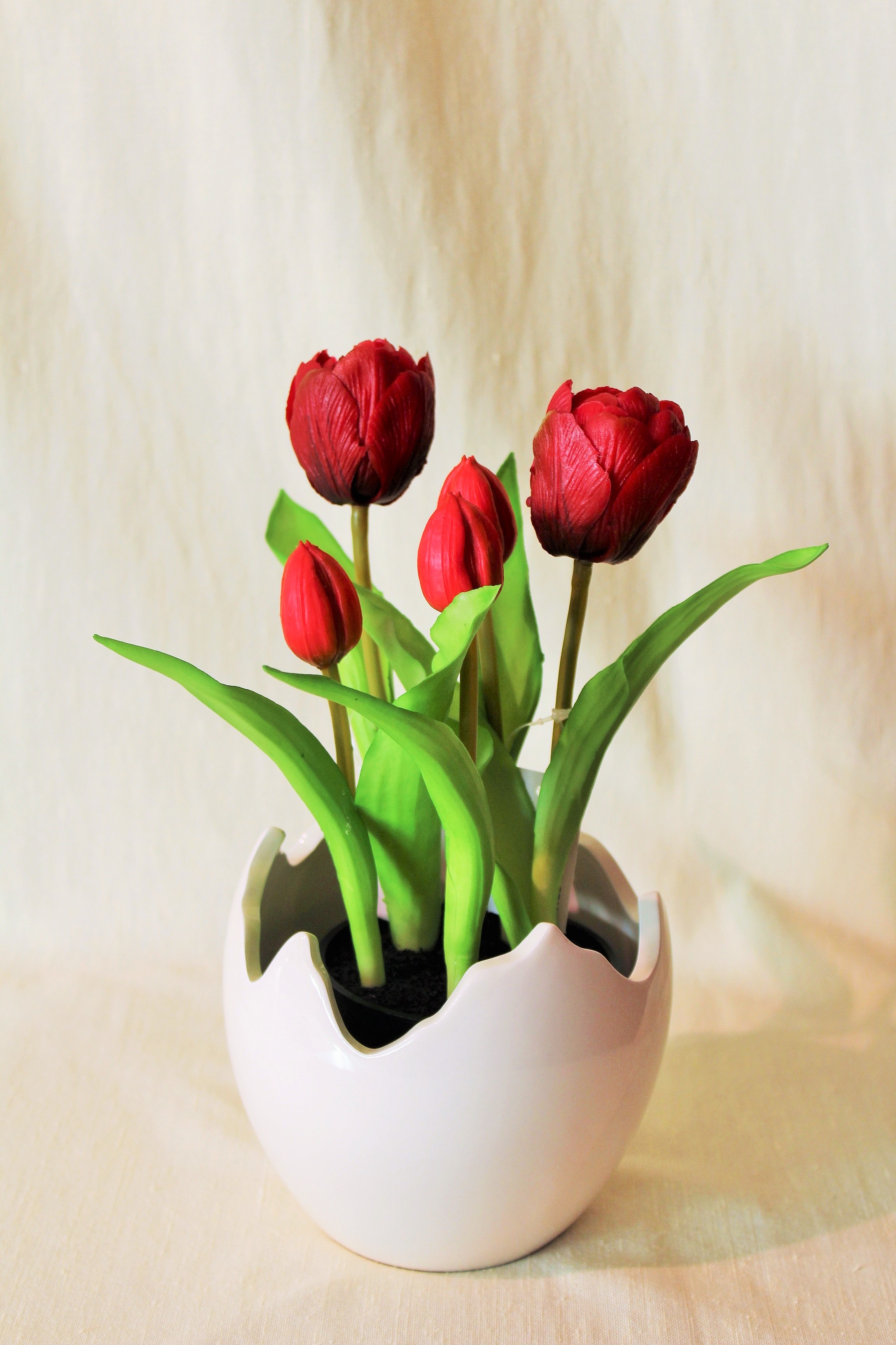 Tulpe "Camilla" rot, getopft, 22 cm von Vosteen 12493-22/40