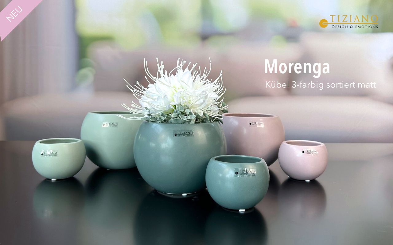 Tiziano Kübel Morenga farbig