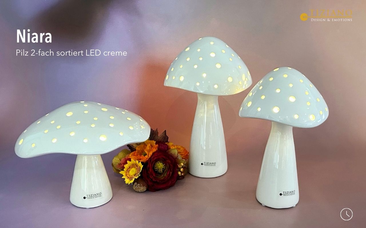 Tiziano Deko Pilz Niara LED & Timer creme
