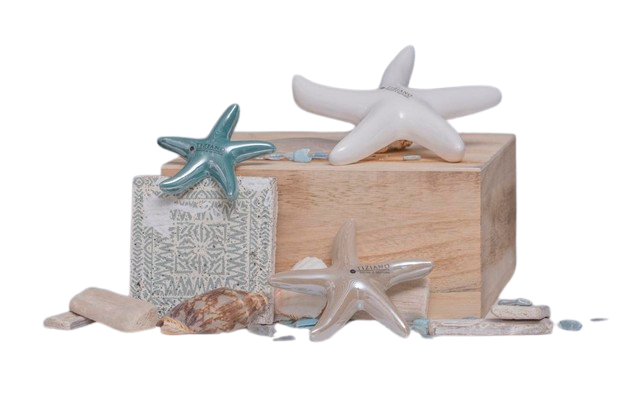 Tiziano Seestern Mirana glatt creme/türkis/blau