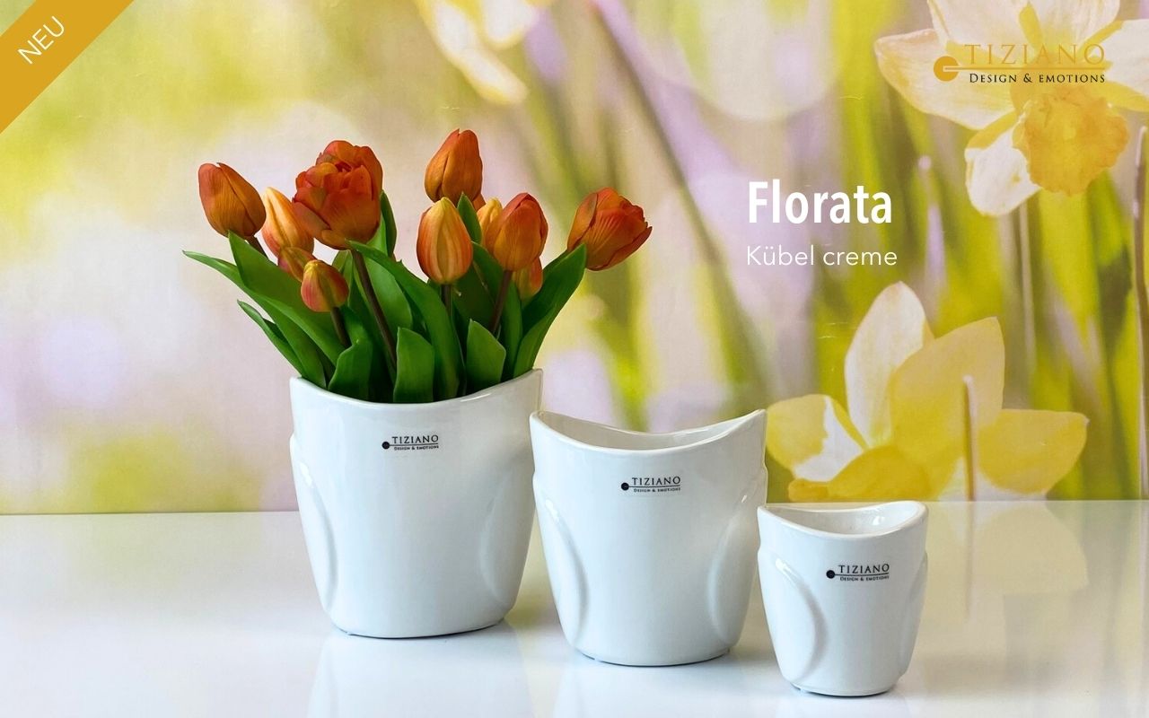 Tiziano Kübel Florata creme
