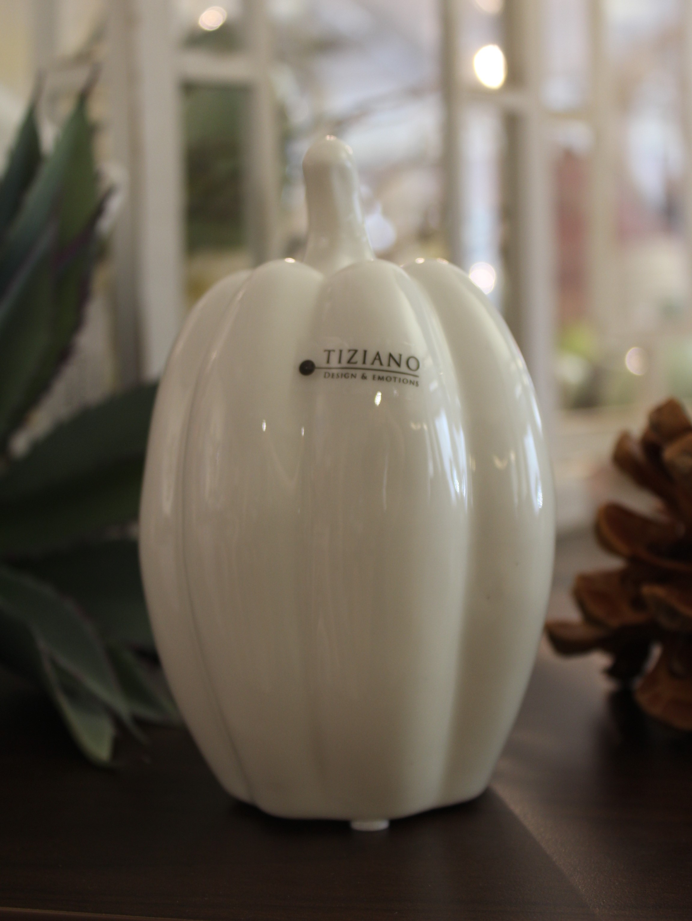 Pastazo-dick_o-10-cm-Porzellan_IMG_5779