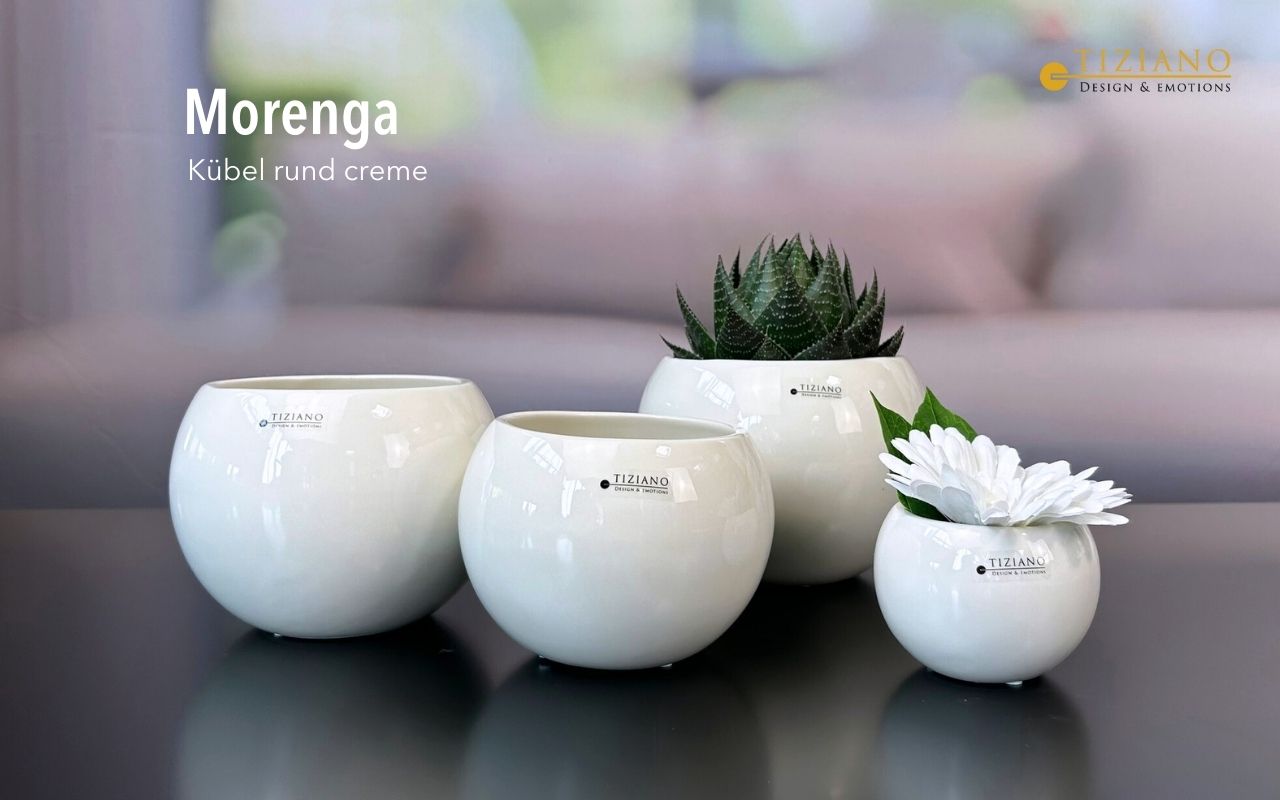 Tiziano Kübel Morenga creme