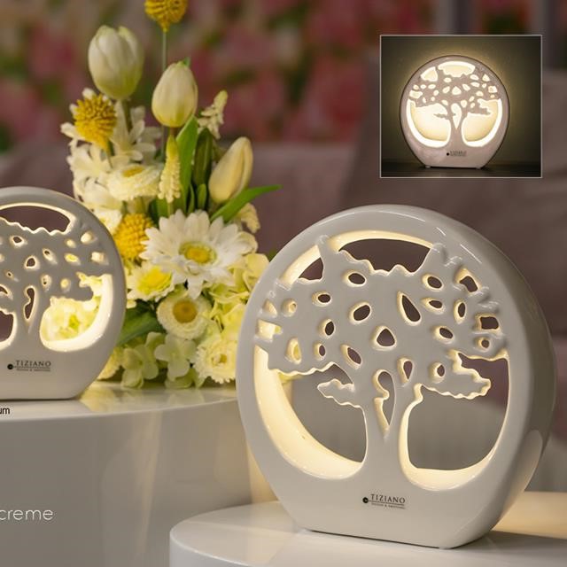 Tiziano Dekobaum im Ring Joy LED creme