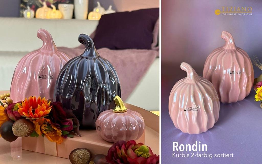 Tiziano Kürbis Rondin glory pink oder red plum