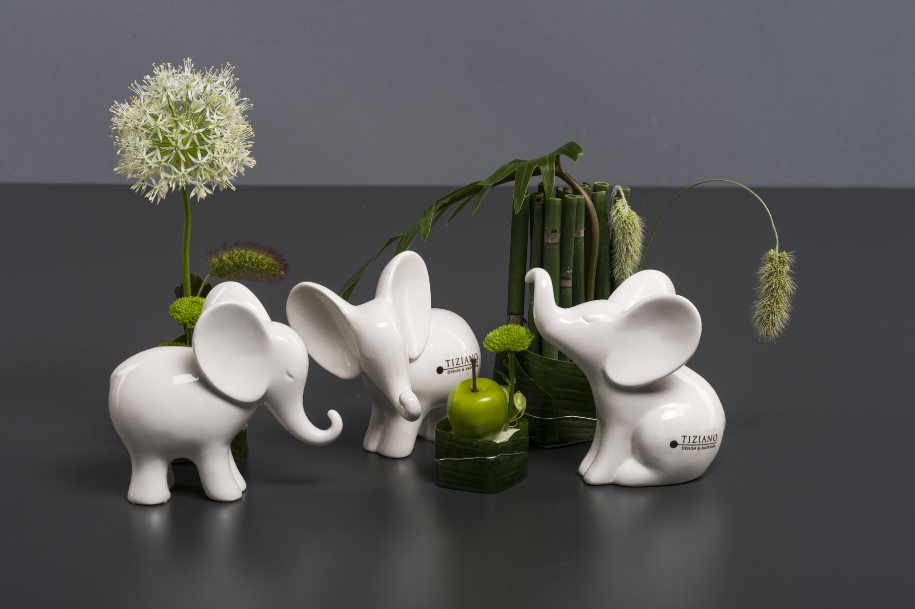 leon-mini-set_image4GC3eRkGBHqXe Tiziano Elefant Leon mini creme 721295-12