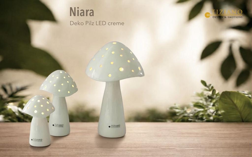 Drei dekorative cremefarbene LED-Pilzlampen in modernem Design mit Punktmuster, platziert auf einer von Grün umgebenen Holzoberfläche, ideal zur Aufwertung der Inneneinrichtung.