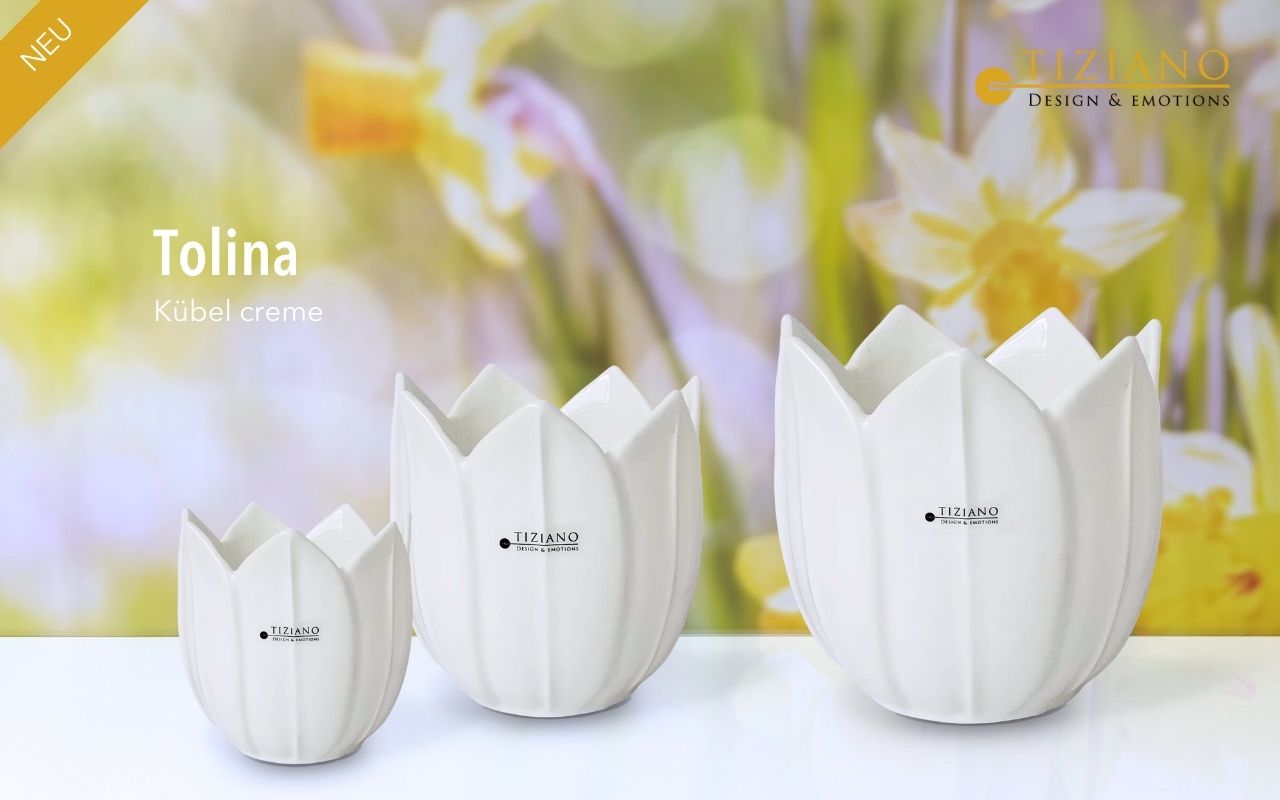 Tiziano Kübel Tolina creme