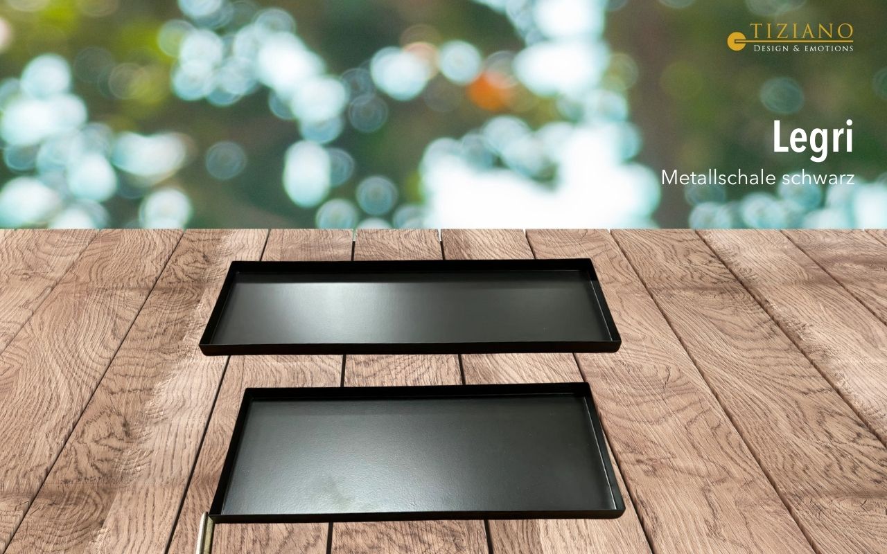 803739_20240208_122440752 Tiziano Metallschale Legri rechteckig