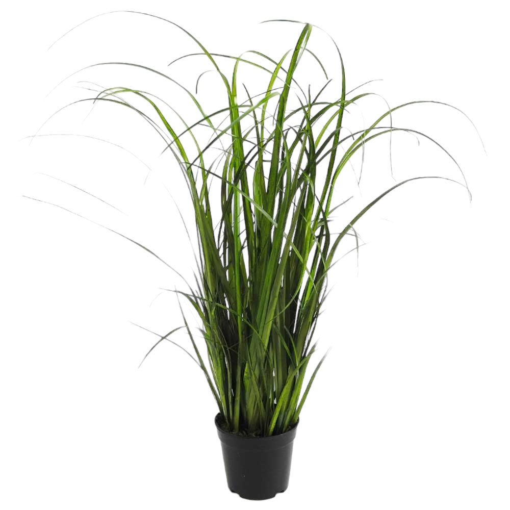 Florissima Kunstpflanze SCHILFGRAS IM TOPF H46CM GRÜN Florissima-Nr. : 194461000