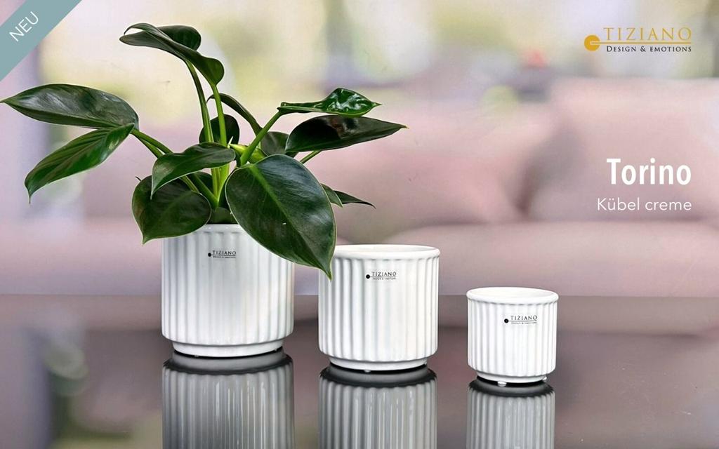 Tiziano Kübel Torino creme