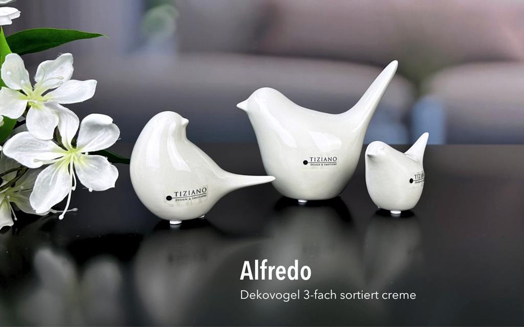 Tiziano Vogel Alfredo creme