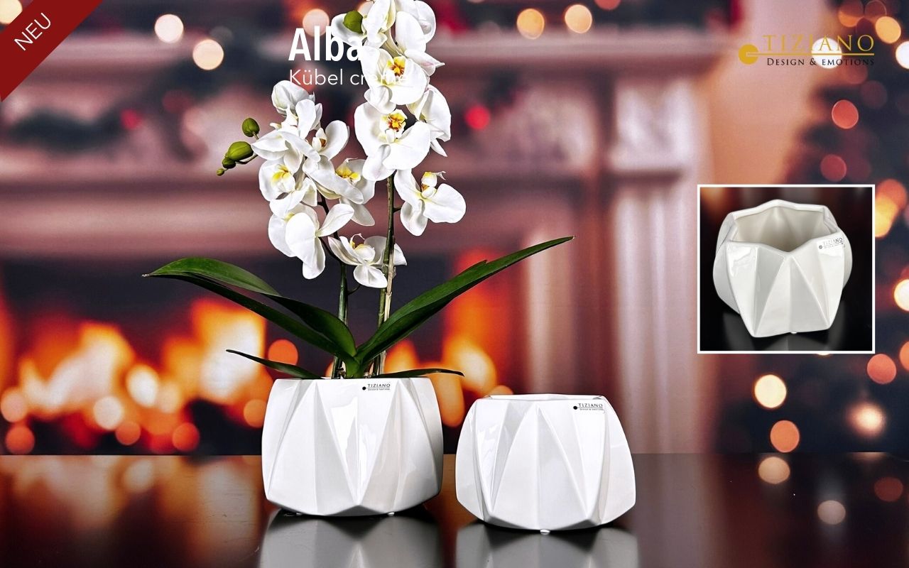 Tiziano Kübel Alba creme Tiziano Kübel Alba creme