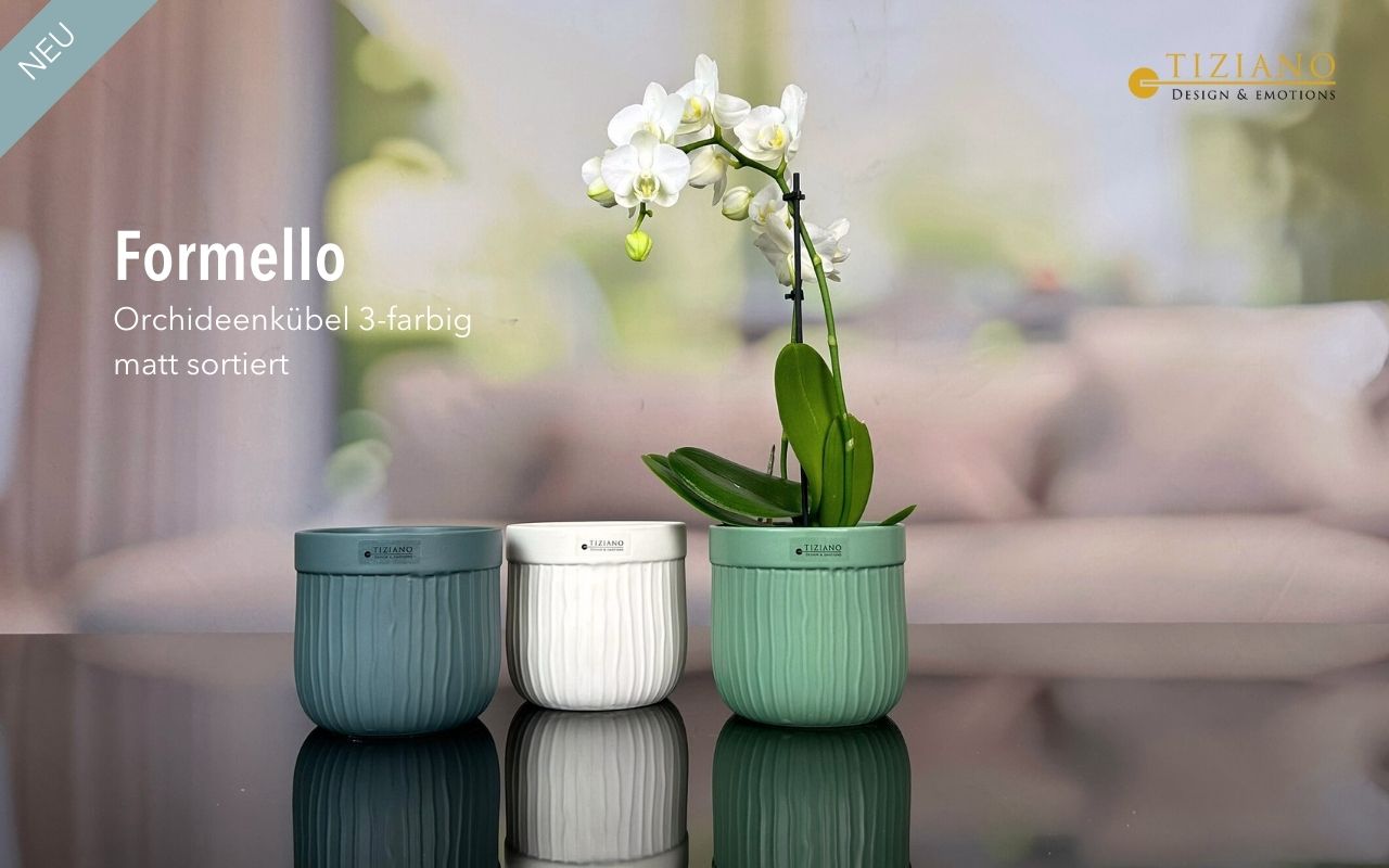 Drei stilvolle, matte Orchideentöpfe in Grün, Weiß und Hellblau mit einer eleganten Orchideenpflanze. Ideal für moderne Wohnkultur und Pflanzenliebhaber.