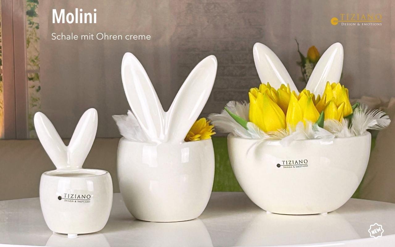 Tiziano Kübel oder Schale Molini mit Ohren