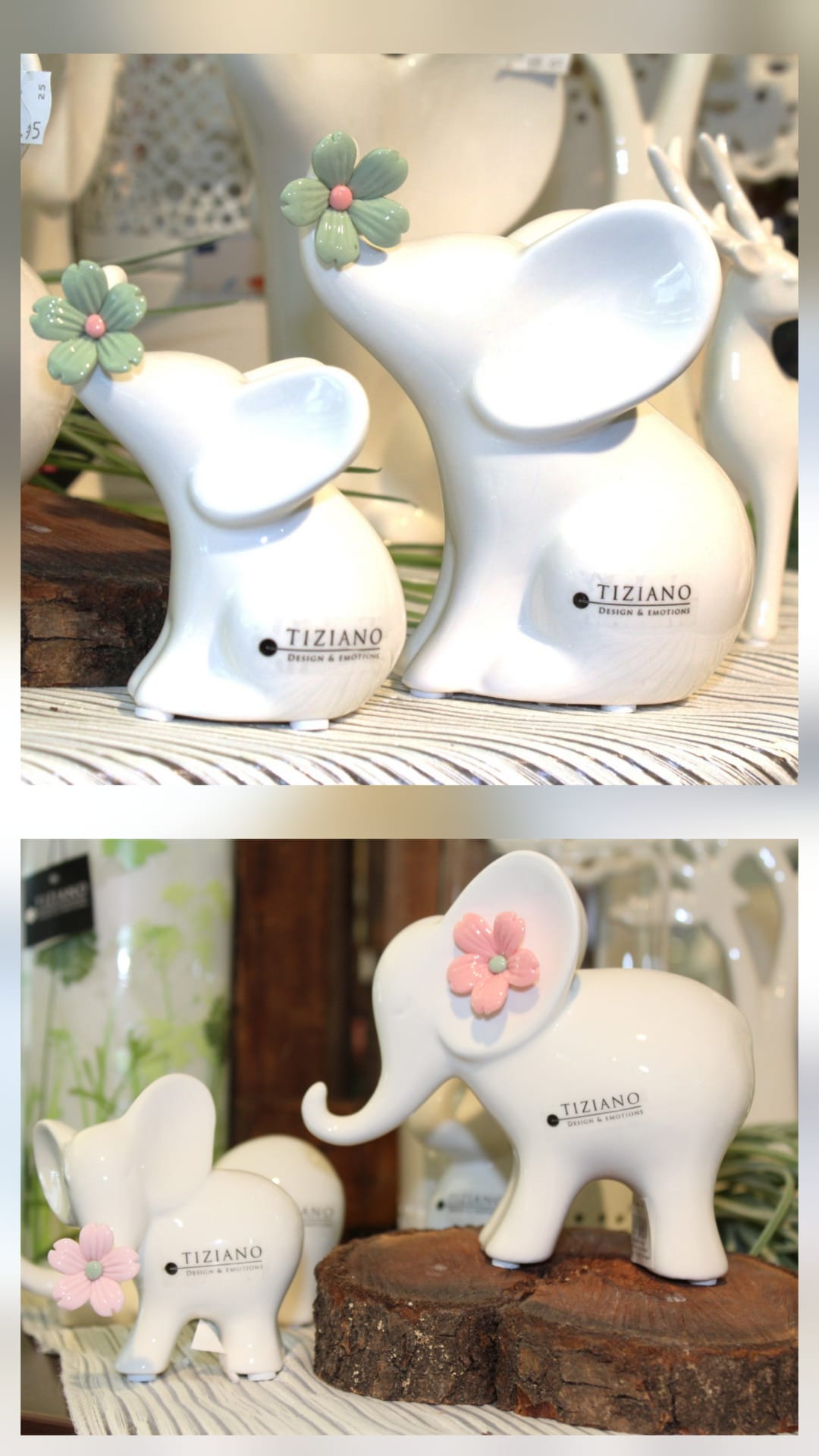 Tiziano Elefant Leon mit Blume rosa/grün