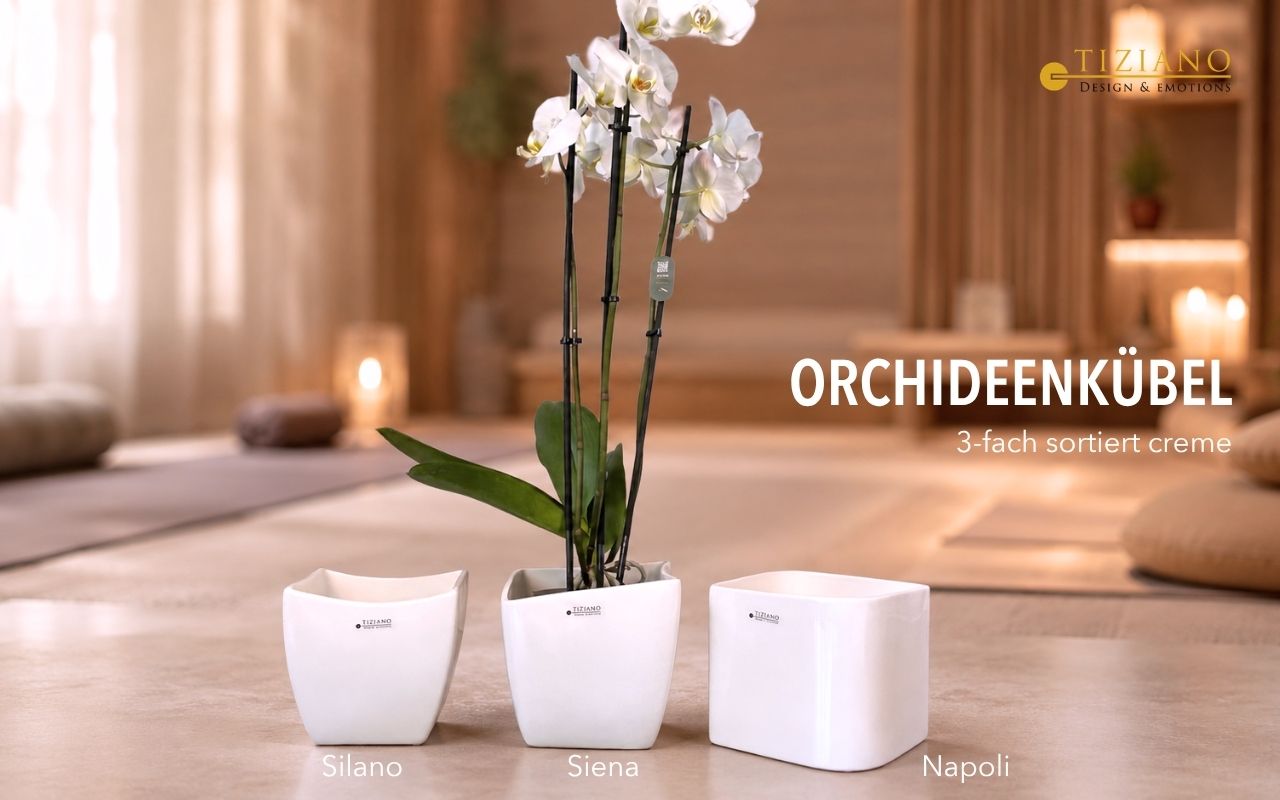 Drei weiße Pflanzgefäße aus Keramik der Marke Tiziano mit den Namen Silano, Siena und Napoli sind auf einem Boden angeordnet, mit einer blühenden weißen Orchidee im mittleren Siena-Topf, vor einem verschwommenen, in warmen Farbtönen gehaltenen Innenr