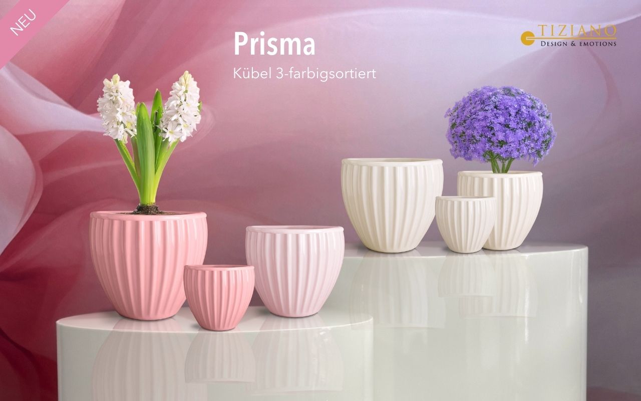 Tiziano Kübel Prisma creme