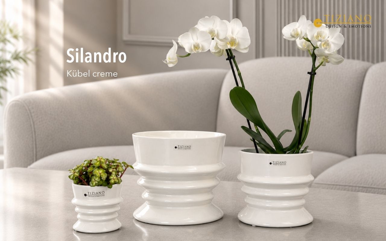 Auf einem Tisch stehen drei weiße, gerippte Keramik-Pflanzgefäße von Tiziano Silandro unterschiedlicher Größe, eines mit einer kleinen Sukkulente und ein anderes mit einer weißen Orchidee vor einem verschwommenen Wohnzimmerhintergrund.