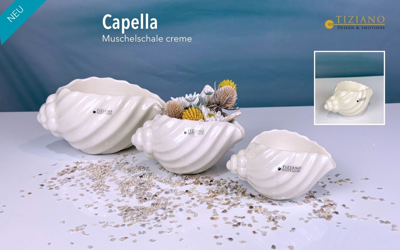 Tiziano Muschelschale Capella creme