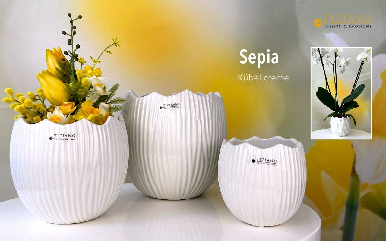 Tiziano Kübel Sepia creme