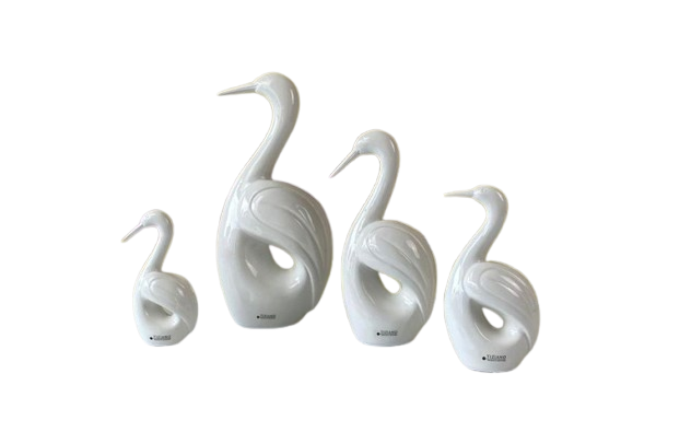 Tiziano Vogel Splendido creme