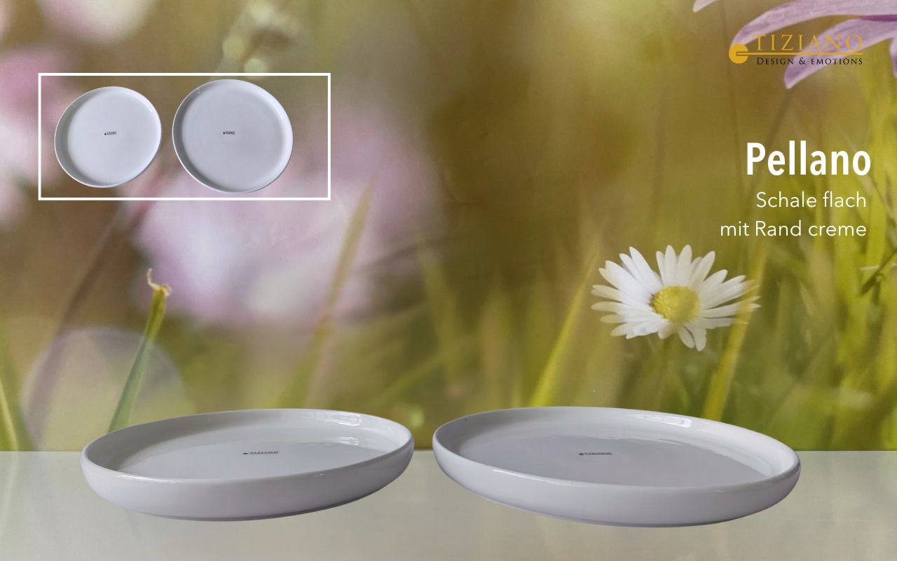 Elegante flache Pellano-Schale mit cremefarbenem Rand, präsentiert vor einem sanften Blumenhintergrund. Ideal zum Servieren von Vorspeisen oder als dekoratives Element in der modernen Küche.