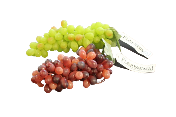 Florissima Kunst Weintrauben L 30cm 181739000