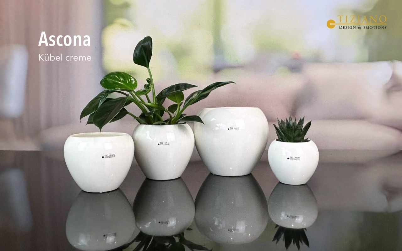 Kübel Ascona creme